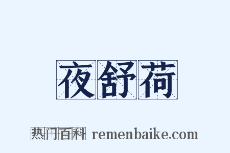 夜舒荷是什么意思的图片